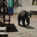 IMG_20260921_070126